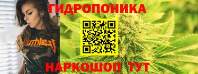 spice Усть-Илимск