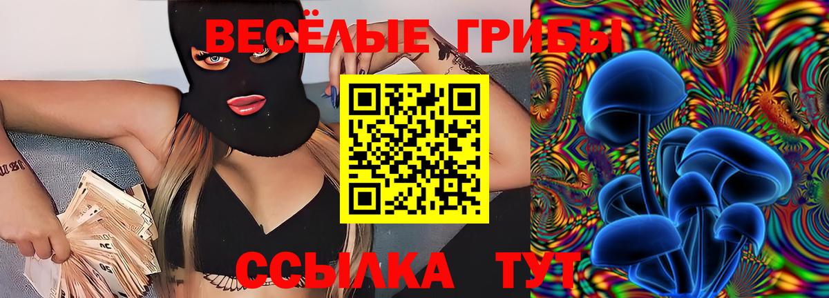 Мытищи  Псилоцибиновые грибы мицелий  Вход с VPN  Псилоцибиновые грибы ЛСД 