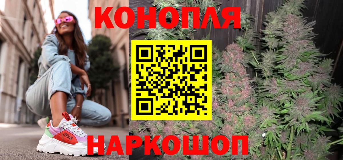 Шишки марихуана марихуана Мытищи
